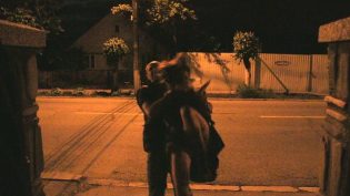 Be My Cat: A Film for Anne photo