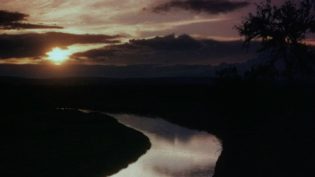 红尘 photo