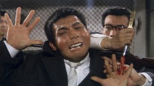 野兽的青春 photo