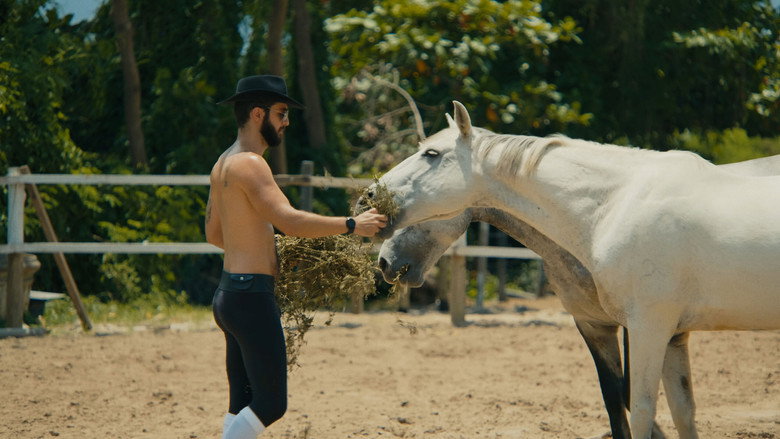 O Cavalo de Pedro photo