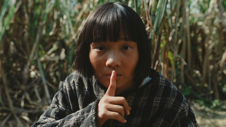 大濛 photo
