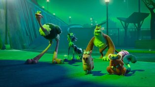 动物园天启夜 photo