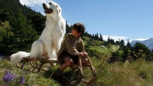灵犬雪莉：冒险再出发 photo