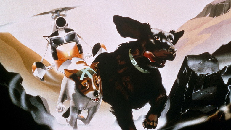 疫病犬 photo