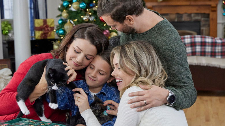 The Nine Kittens of Christmas photo
