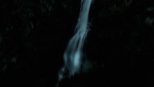 安驿 photo