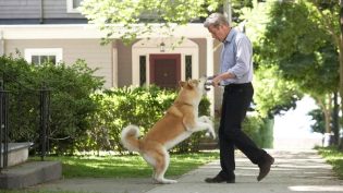 忠犬八公的故事 photo