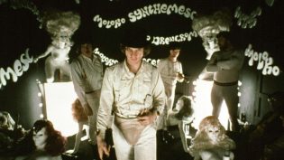 发条橙 photo