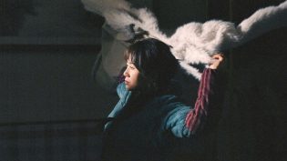 抓娃娃 photo