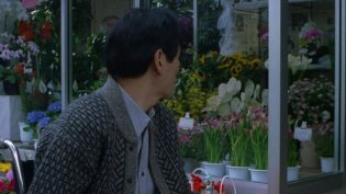 花火 photo