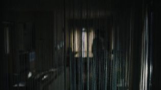 钟声 photo