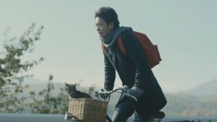 假如猫从世界上消失了 photo