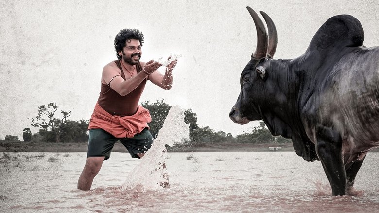 美丽的真相 photo