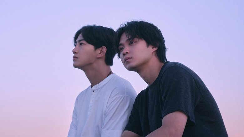 灵魂之伴 photo