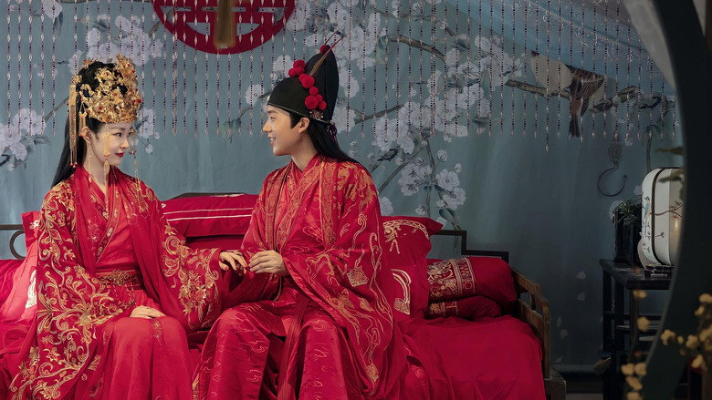 赘婿 photo