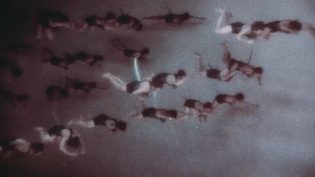 黑海盗 photo