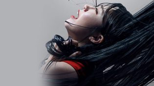 0.0兆赫 photo