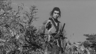 三匹之侍 photo