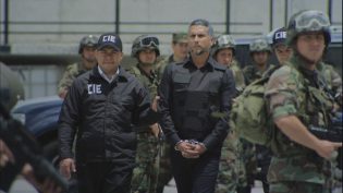 El Capo photo