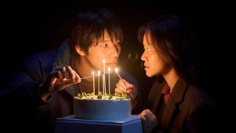 孔雀舞曲 photo