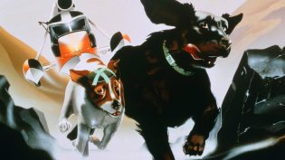 疫病犬 photo