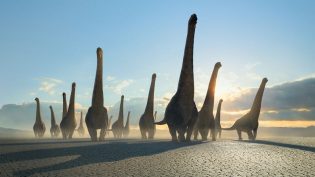 Prehistoric Planet photo