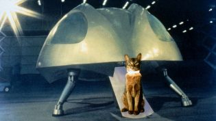 鬼马太空猫 photo
