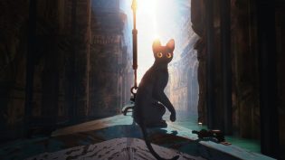 猫猫的奇幻漂流 photo