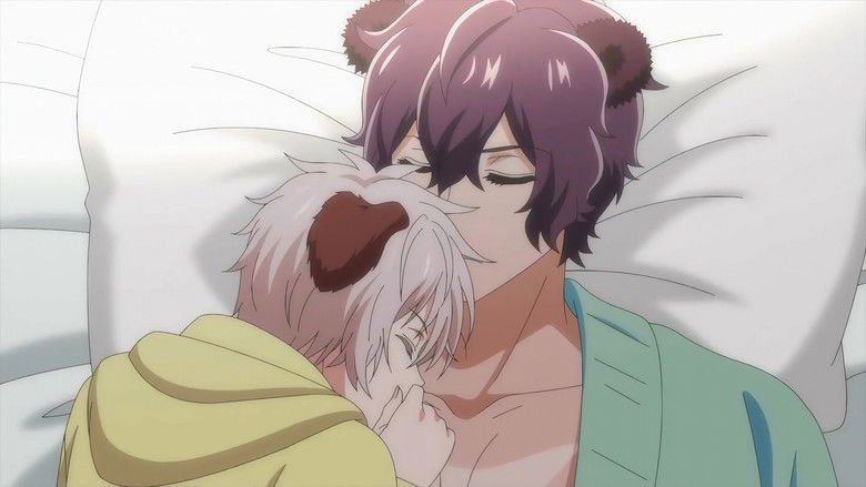 森林里的熊先生，冬眠中。 photo