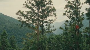 哪啊哪啊神去村 photo