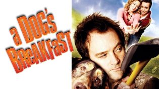 A Dog's Breakfast photo