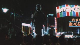 哥斯拉之怪兽王复活 photo