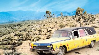 Grand Theft Parsons photo