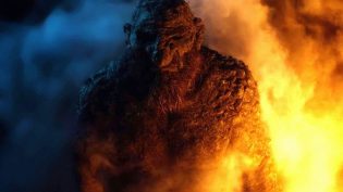 Troll photo