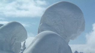 带子雄狼6：雪原生死道 photo