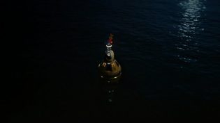 爱我 photo