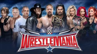 WWE 摔角狂热 32 photo
