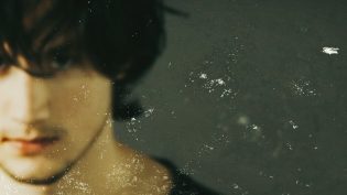 人面兽心 photo