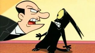 Catscratch photo