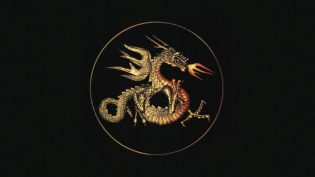 龙之吻 photo
