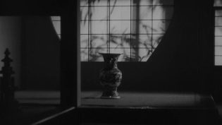 晚春 photo
