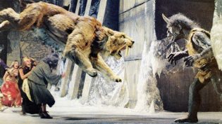 辛巴达穿破猛虎眼 photo