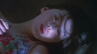 燕尾蝶 photo