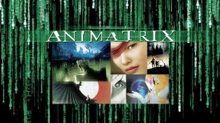 黑客帝国 photo