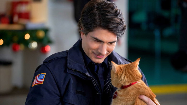 The Nine Kittens of Christmas photo