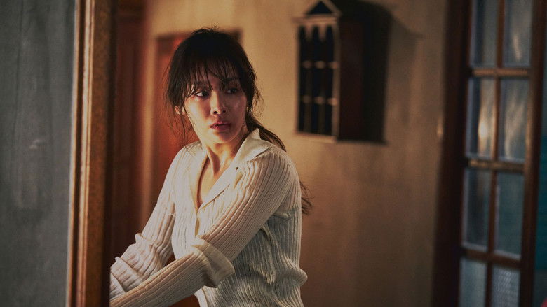姐妹 photo