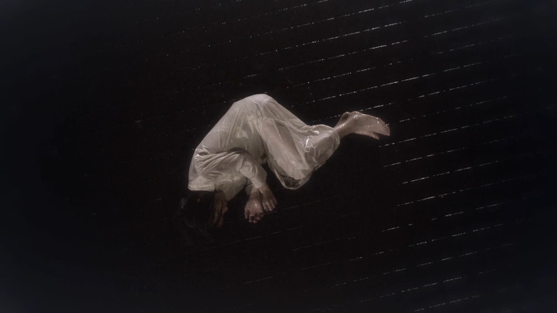 寄生兽医铃音之起源 photo