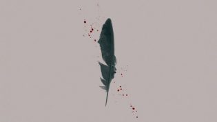 Black Bird photo