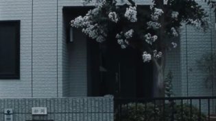 钟声 photo