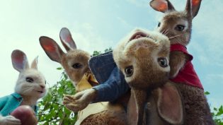 比得兔 photo